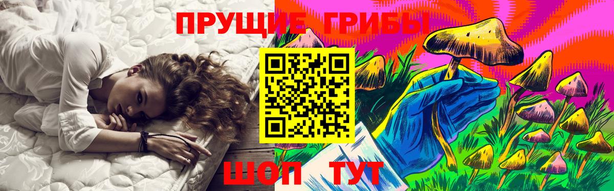 Волгоград  Галлюциногенные грибы Psilocybe  Вход с VPN 